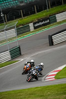 Advanced 1 Group Black Bikes